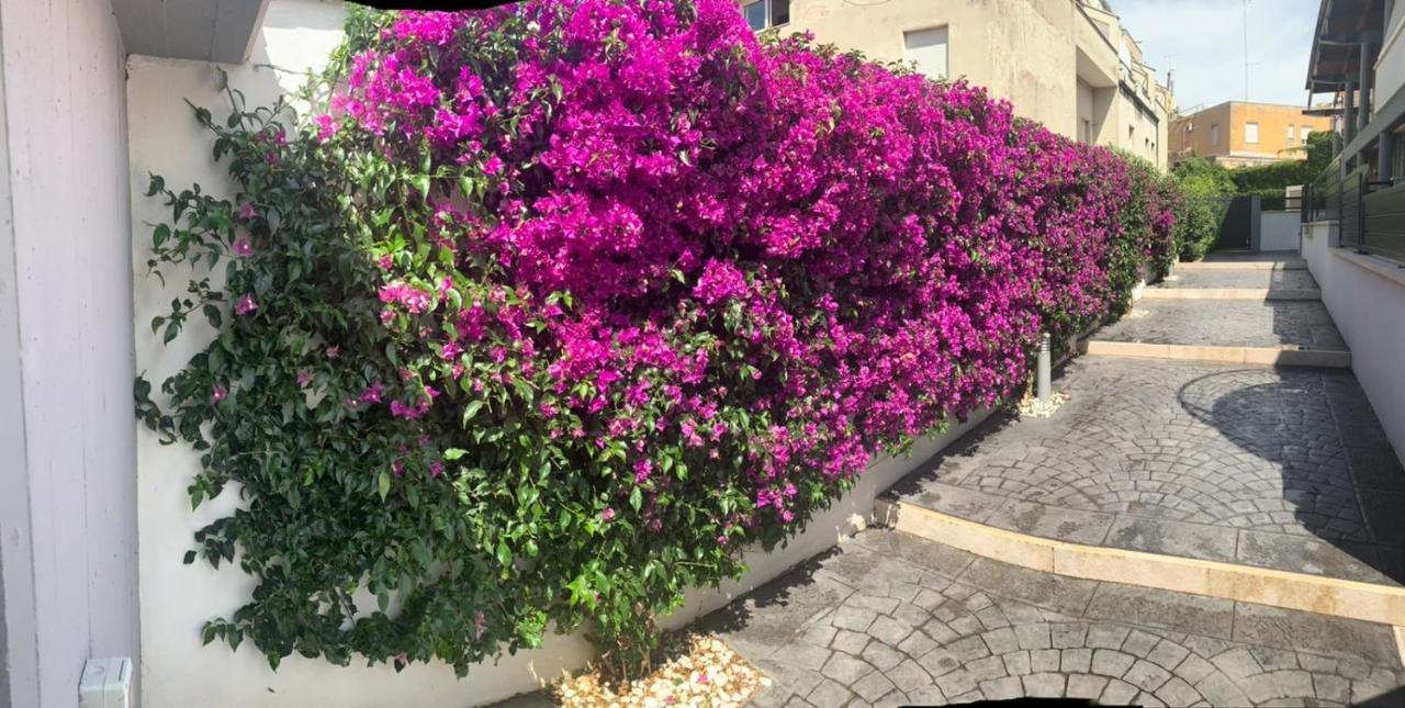 The Shabby House - Charming Seaside Retreat In Central Anzio, Steps From Beach And Train Station Ngoại thất bức ảnh